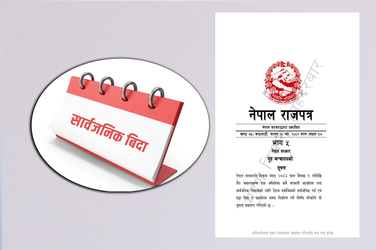 अत्याधिक सार्वजनिक बिदाले निजी क्षेत्र आजित