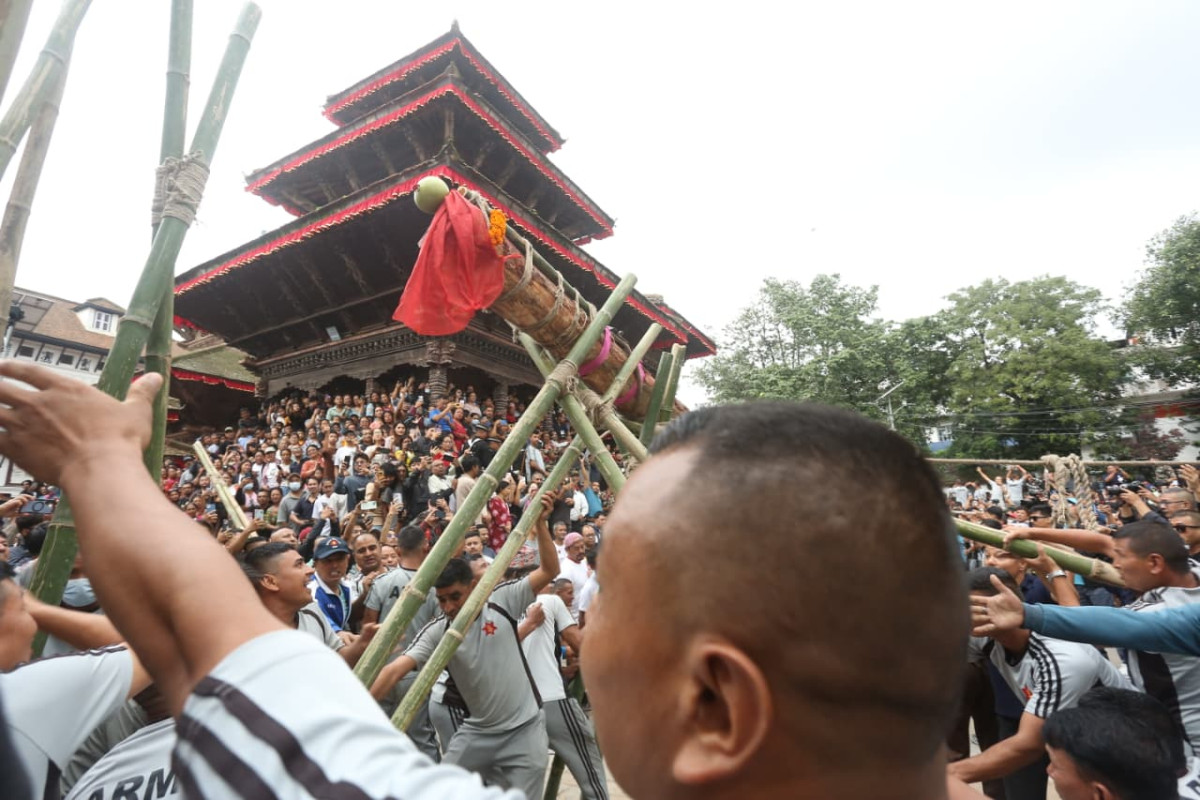 काठमाडौ। काठमाडौंको ऐतिहासिक तथा सांस्कृतिक महत्व बोकेको इन्द्रजात्रा पर्व हनुमानढोका दरबार परिसरमा विधिवत रुपमा इन्द्रध्वजा (लिङ्गो) ठड्याएसँगै औपचारिक रुपमा शुरु भएको छ । पञ्चाङ्ग निर्णायक विकास समितिले दिएको शुभसाइतअनुसार बुधवार लिङ्गो ठड्याइएको हो । इन्द्रध्वजोत्थानको विशेष समारोहमा नेपाली सेनाको श्री शार्दूल जङ्ग गुल्मले तोप पड्काएर र बन्दुकको सलामी अर्पण गर्दै राजकीय सम्मान प्रदान गरेको थियो । लिङ्गोको टुप्पोमा नागदेवताको प्रतिकस्वरुप ध्वजा फहराइएको छ भने फेदमा अष्टमातृका र इन्द्र भगवानको सुनौलो प्रतिमा राखी विशेष पूजा गरिएको छ । भक्तपुर र काभ्रेको सिमानास्थित चित्तपोलको जङ्गलबाट धार्मिक विधिपूर्वक काटिएको रानी सल्लाको काठलाई विशेष पूजापाठ गरी नगर प्रवेश गराएपछि हनुमानढोका पु¥याइएको थियो । वर्षा र उर्वरताका देवता इन्द्रको सम्मान र विजयको प्रतिकका रूपमा मनाइने यो जात्राले काठमाडौंको जनजीवनलाई केही दिनका लागि उत्सवमय बनाउनेछ । जात्रा अवधिभर पुलुकिसी नाच, मजिपाः लाखे, महाकाली नाच, भक्कुनाच र दशअवतार नाटकजस्ता परम्परागत कला प्रदर्शन गरिनेछन् । साथै, आकाश भैरव, श्वेत भैरव र बाकादेय् भैरवका मूर्तिहरू सार्वजनिक दर्शनका लागि राखिने छन् । जात्राको मुख्य आकर्षण मानिने जीवित देवी श्री कुमारी, श्री गणेश र श्री भैरवको रथयात्रा असोज ९ गते शुक्रवार ‘क्वनेया’ (तल्लो टोल यात्रा) बाट शुरु हुनेछ । राष्ट्रप्रमुखको हैसियतमा राष्ट्रपतिले गद्दी बैठकबाट रथयात्रा अवलोकन गर्ने परम्परा छ । त्यसैगरी, असोज १० गते ‘थनेया’ (माथिल्लो टोल यात्रा) र असोज १३ गते महिलाहरूद्वारा रथ तानिने ‘नानीचा यात्रा’ पछि इन्द्रध्वजा ढालेर जात्रा समापन हुनेछ । विश्व सम्पदा सूचीमा रहेको वसन्तपुर दरबार क्षेत्रलाई झकिझकाउ पारिएको छ । ३१ वटा गुठी खलःको सहभागितामा भइरहेको यस पर्वले आन्तरिक तथा वाह्य पर्यटकलाई समेत लोभ्याउने गरेको छ ।