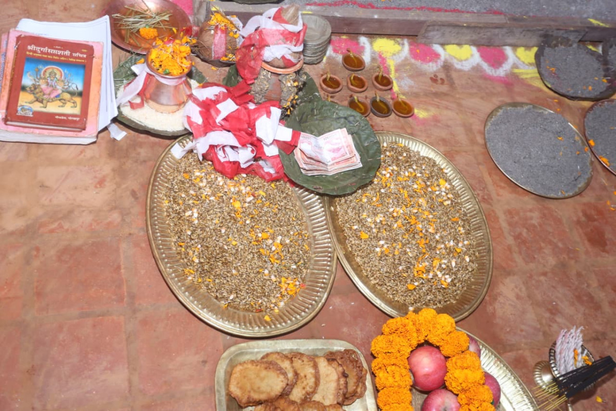 दशैँघरमा जमरा राखियो
